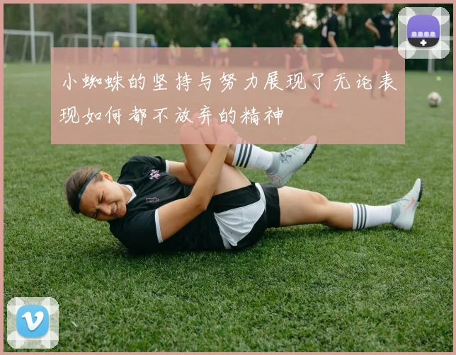 小蜘蛛的坚持与努力展现了无论表现如何都不放弃的精神