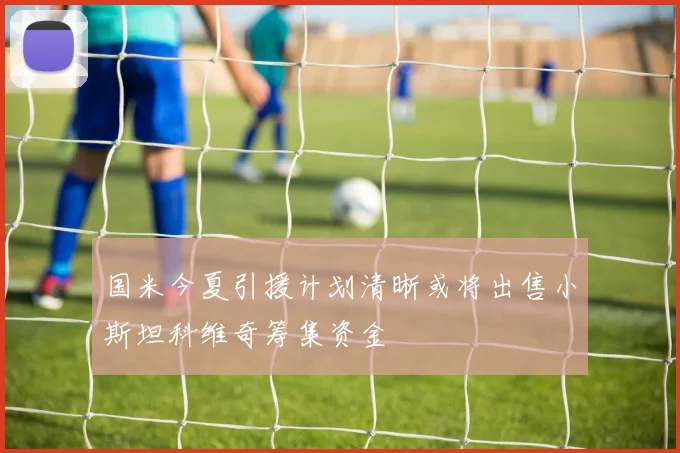 国米今夏引援计划清晰或将出售小斯坦科维奇筹集资金
