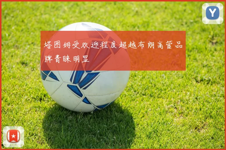 塔图姆受欢迎程度超越布朗高管品牌青睐明显